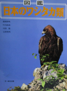 ストア 【絶版】「図鑑 日本のワシタカ類」文一総合出版｜語学・辞書  