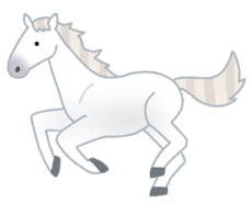 animal_horse_thoroughbred_white