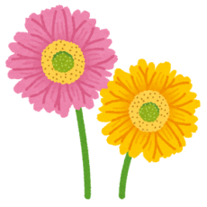 flower_gerbera