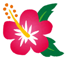flower_hibiscus