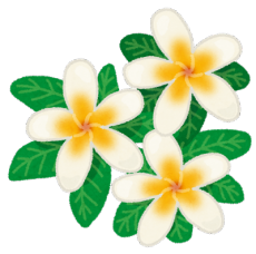 flower_plumeria