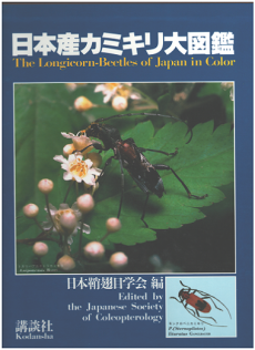 昆虫図鑑のイメージ