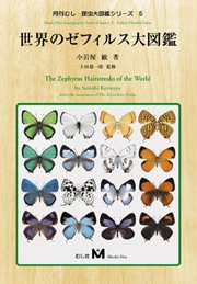 昆虫図鑑のイメージ