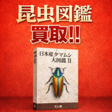 昆虫図鑑を専門店が買取ます!!