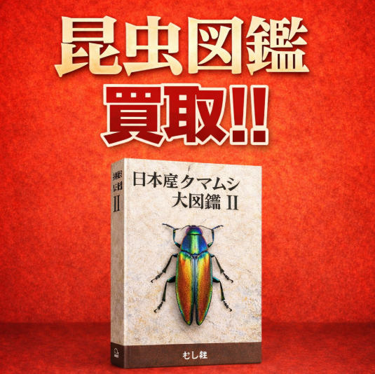 昆虫図鑑を専門店が買取ます!!
